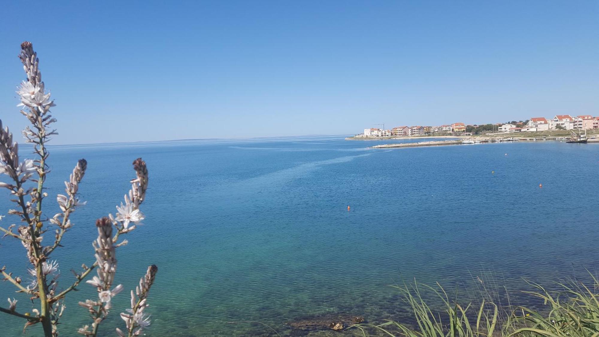 Apartament Zagi Povljana Zewnętrze zdjęcie